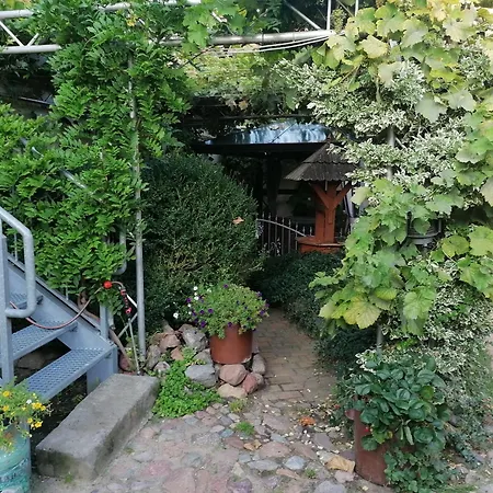 게스트하우스 Am Buhnenkopf 3*